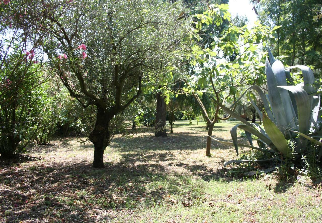 Bed & Breakfast Il Boschetto Porto SantʼElpidio